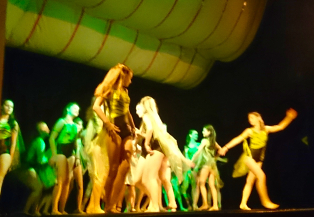 v�noce ADG 2015_5068