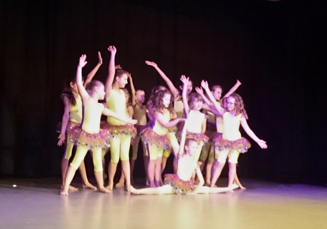 v�noce ADG 2015_5077