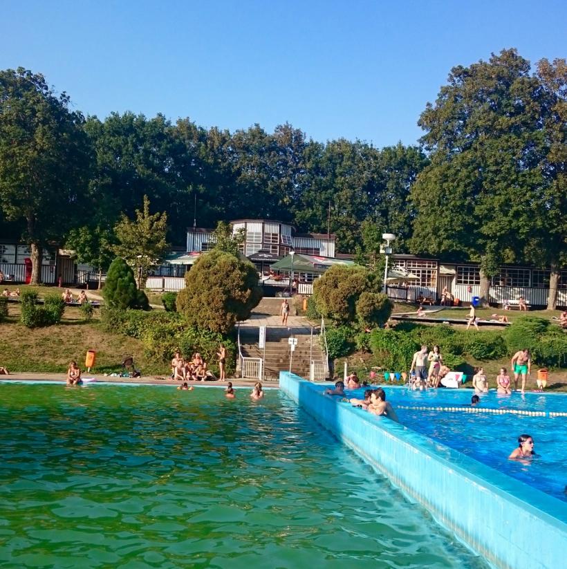 koupali�t� 31 srpen 2015 _1277