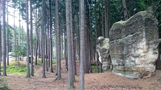 slu�� kameny balvany v lese
