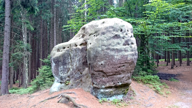 slu�� kameny pes