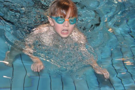 �upn� p�ebor v plav�n�, foto P. �patenkov�05