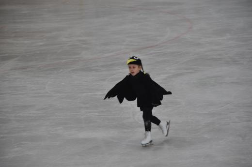 Exhibice Krasobrusla�sk�ho klubu O �erven� Karkulce, foto P. �patenkov�05