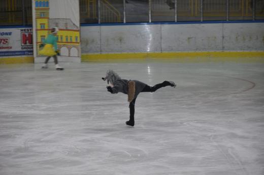 Exhibice Krasobrusla�sk�ho klubu O �erven� Karkulce, foto P. �patenkov�12