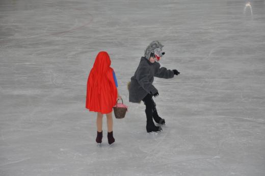 Exhibice Krasobrusla�sk�ho klubu O �erven� Karkulce, foto P. �patenkov�14