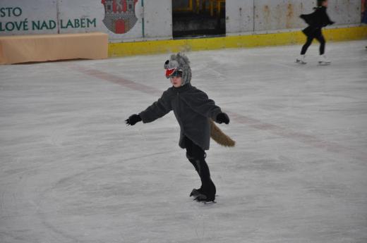 Exhibice Krasobrusla�sk�ho klubu O �erven� Karkulce, foto P. �patenkov�17