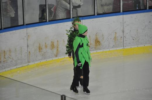 Exhibice Krasobrusla�sk�ho klubu O �erven� Karkulce, foto P. �patenkov�19