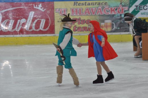 Exhibice Krasobrusla�sk�ho klubu O �erven� Karkulce, foto P. �patenkov�24