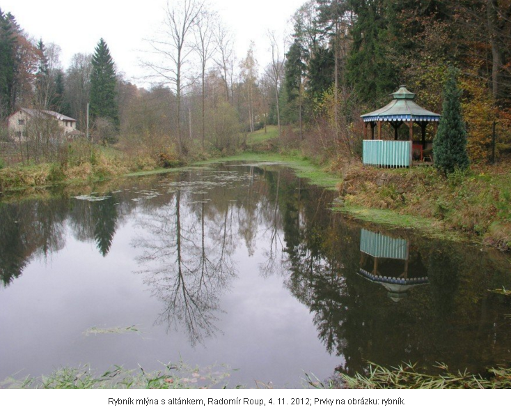 Rybn�k ml�na s alt�nkem, Radom�r Roup, 4. 11. 2012; Prvky na obr�zku: rybn�k.