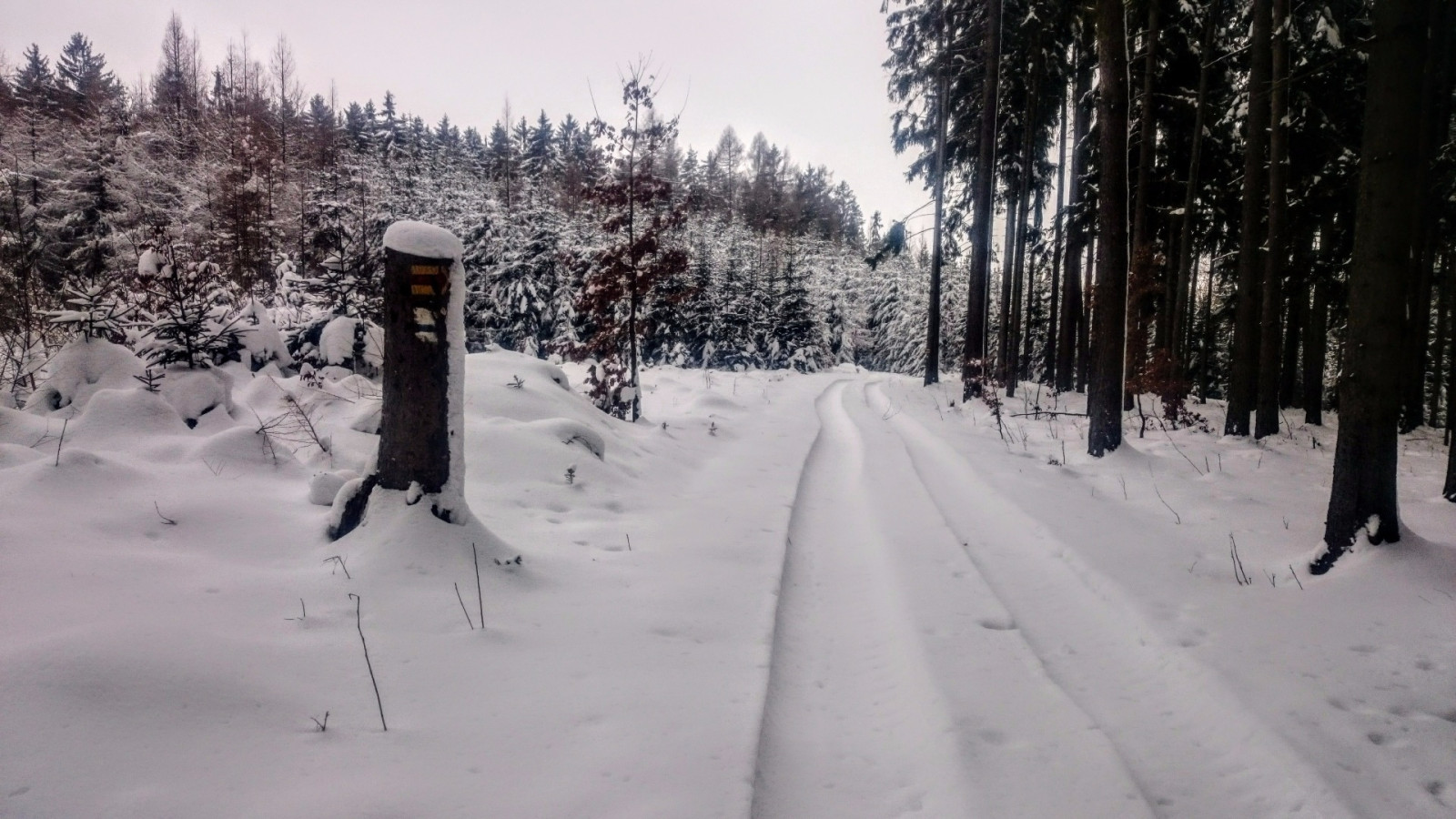 Z LI��� hory na Kohoutov