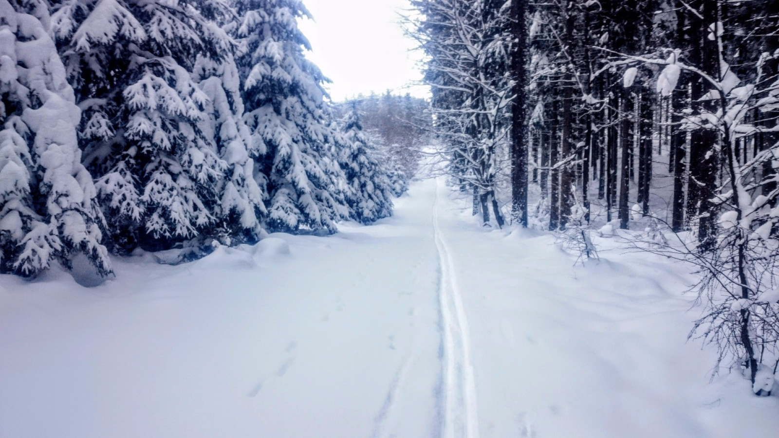 Spojnice na Liščí hoře