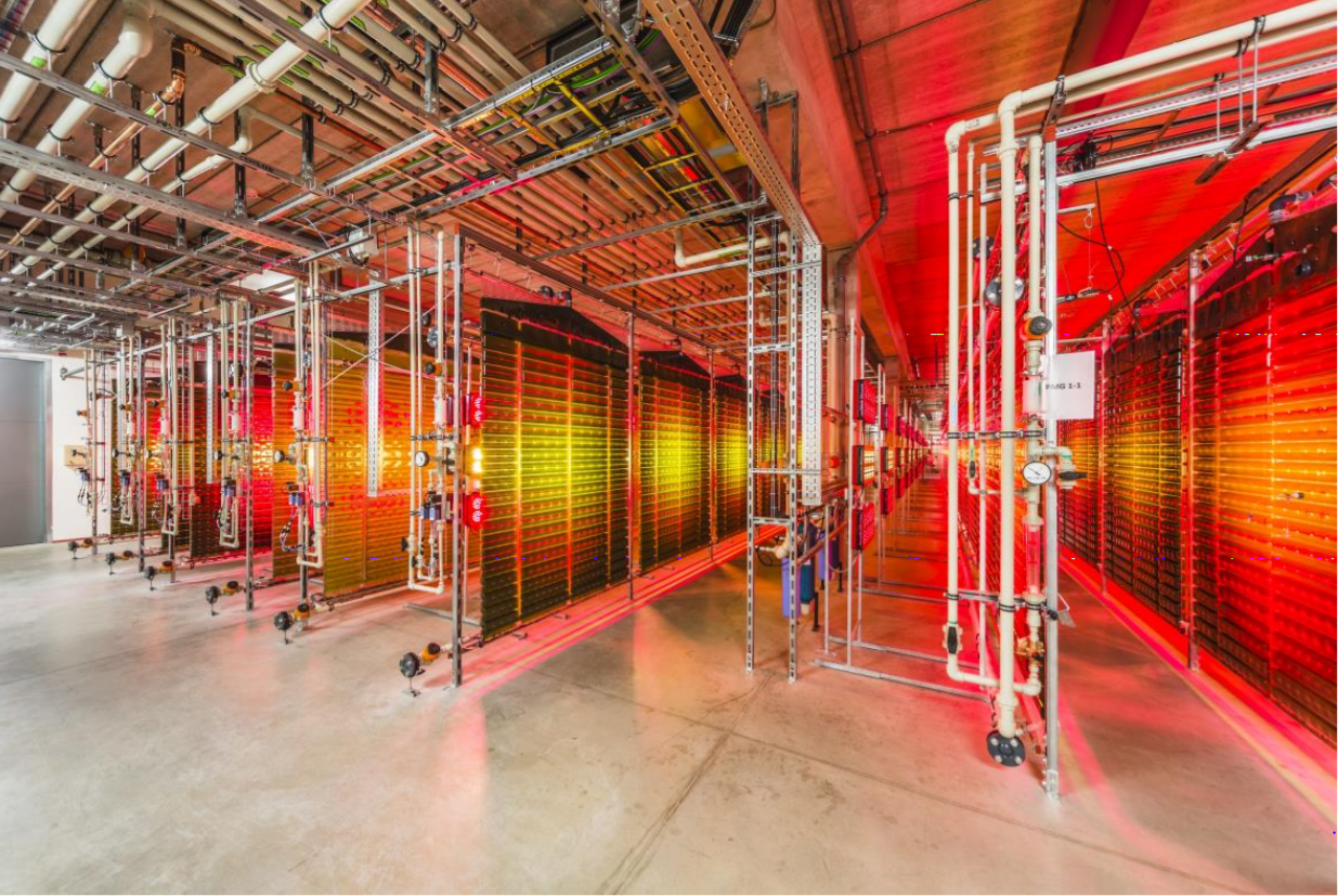 V�robna astaxanthinu v Mostku u Dvora Kr�lov�