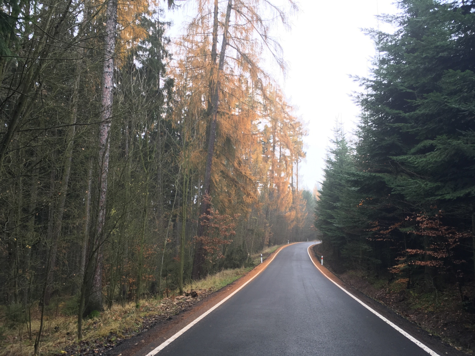 Silnice H�ibojedy - �ire�