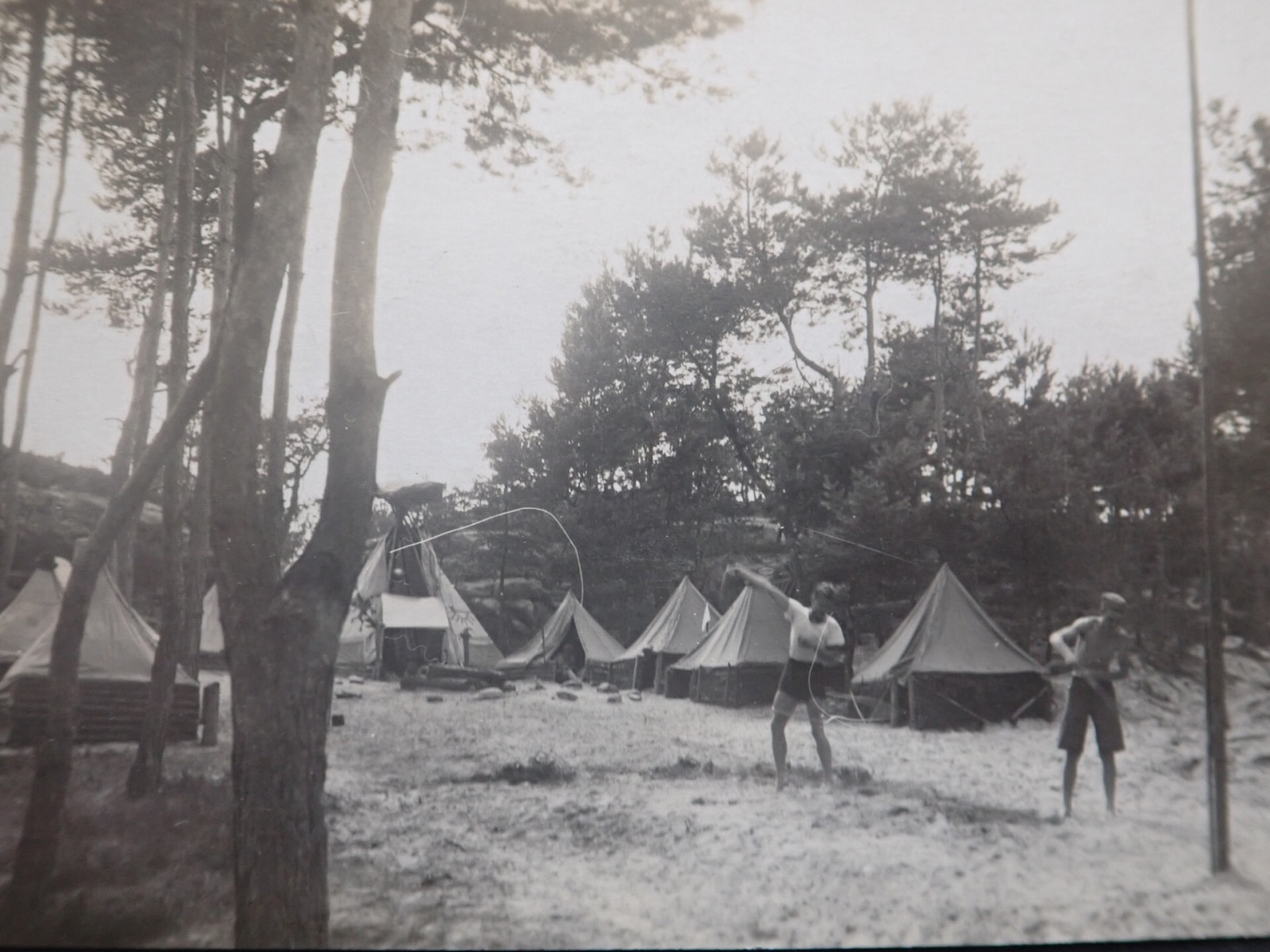 �st�edn� Lesn� �kola, Nov� Ves 1924. Za na�e st�edisko se z��astnil br. S. Vesel�-Weston. Vedouc�m L� byl zn�m� cestovatel a skaut F.A. Elstner